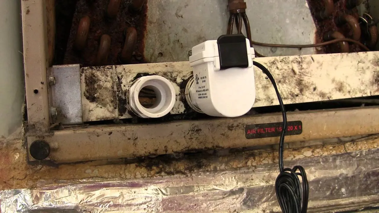 AC unit outside Cedar Park TX home surrounded by cedar trees